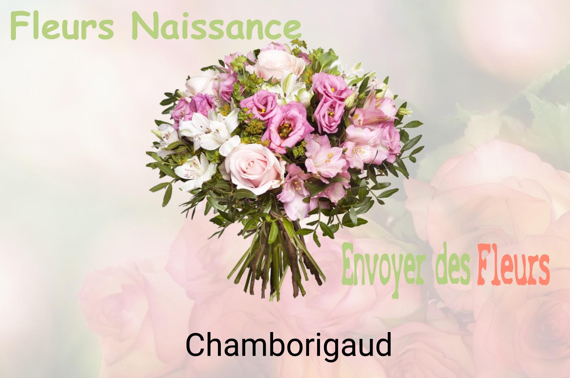 Bouquet de fleurs de naissance livré à Chamborigaud